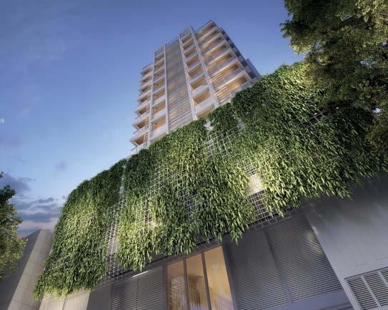 Blanc 260 — imagem 2 de 4
